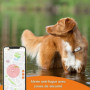 Traceur GPS pour Chien - Weenect XS (White Edition 2023) 52,99 €
