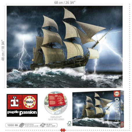TEMPeTE PARFAITE - Puzzle de 1000 pieces 27,99 €