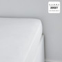 Drap housse TODAY Essential - 160 x 200+25 cm - 1 personne - 100% Coton 29,99 €