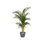 Brussels Rond 25 anthracite 41,99 €