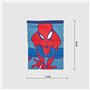 Sac Spiderman 13 x 18 x 1 cm Rouge 18,99 €