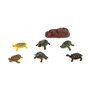 animaux Tortue Lot 20 x 19 cm 13,99 €