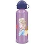 Bouteille Frozen Trust The Journey 530 ml Aluminium 19,99 €