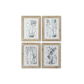 Cadre DKD Home Decor Moderne Plantes botaniques 30 x 2 x 40 cm (4 Unités 119,99 €