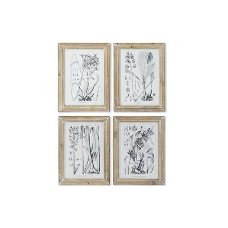 Cadre DKD Home Decor Moderne Plantes botaniques 30 x 2 x 40 cm (4 Unités 119,99 €