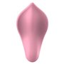 Masseur Liebe Candy Rose 44,99 €