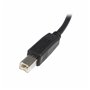 Câble USB A vers USB B Startech USB2HAB2M      Noir 14,99 €