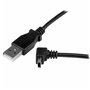 Câble USB vers Micro USB Startech USBAMB1MU      Noir 14,99 €