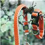 Collier pour Chien Hunter Basic Fil Orange Taille S (30-43 cm) 23,99 €