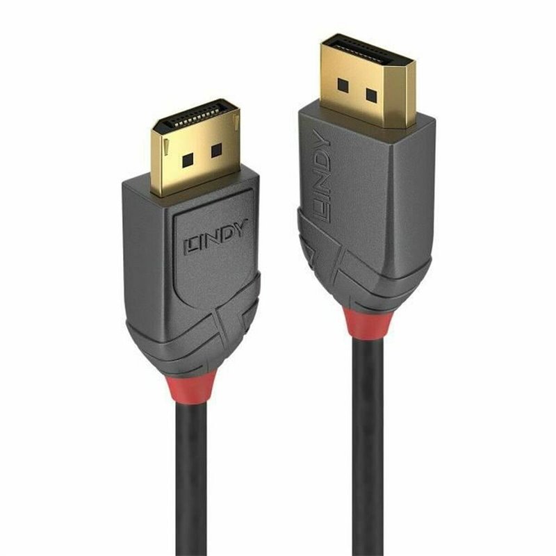 Lindy 36484 câble DisplayPort 5 m Noir, Gris
