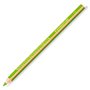 Crayons de couleur Staedtler Jumbo Noris Vert clair (12 Unités) 25,99 €