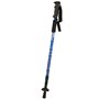 Bâton Trekking Aktive (6 Unités) 57,99 €