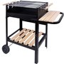 Roues de barbecue au charbon de bois Aktive Noir 100,5 x 88,5 x 40 cm 179,99 €