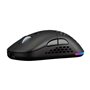 Souris Hiditec GX30 PRO Noir