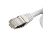 Câble Réseau Rigide FTP 7ème Catégorie iggual IGG318652 Blanc 2 m