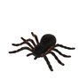 Araignée Noir (4 Unités)