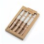 Ensemble de Couteaux Amefa 497511NT01PK4 Marron Métal 4 Pièces 21,5 cm (