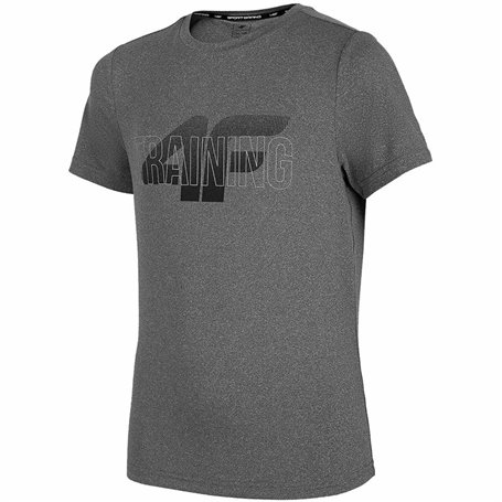 T-shirt à manches courtes enfant 4F JTSMF001  Gris