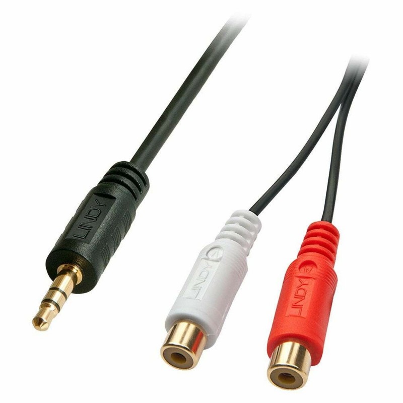 Lindy 35678 câble audio 0,25 m 2 x RCA 3,5mm Noir, Rouge, Blanc