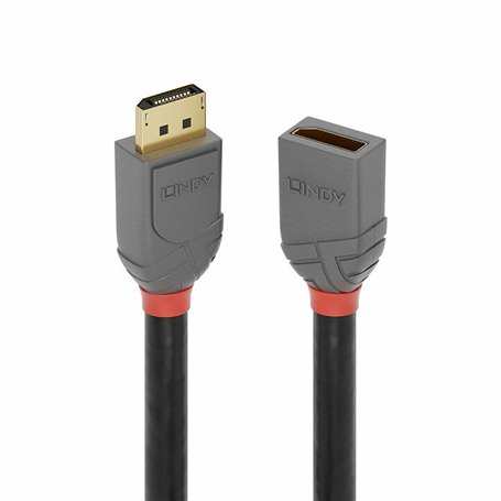 Câble DisplayPort LINDY 36496 1 m