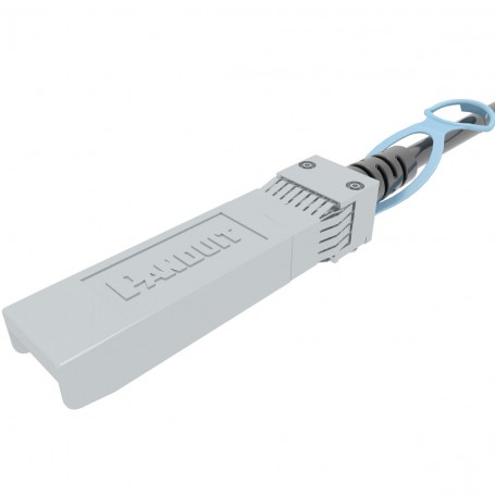 Câble Réseau Rigide UTP 6ème Catégorie Panduit PSF2PZA1MBL Noir 1 m