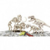CLEMENTONI Archéo Ludic - T-Rex & Tricératops Phosphorescent 41,99 €