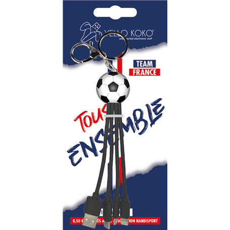 Câble 3 en 1 Andy Sport USB A/micro USB & USB C & Lightning 0,20m Foot