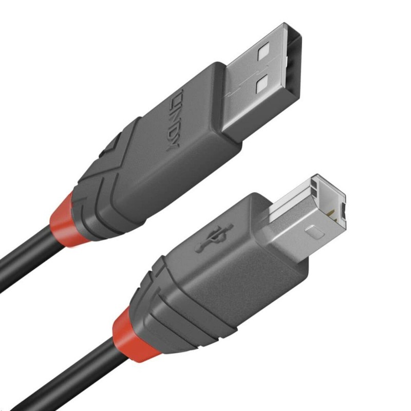 Lindy 36670 câble USB 0,2 m USB 2.0 USB A USB B Noir, Gris