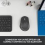 Logitech M720 souris Droitier RF sans fil + Bluetooth Optique 1000 DPI