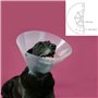 Collier de protection Isabelino pour chiens KVP Betsy Transparent (33-