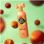 2-in-1 shampooing et après-shampooing Pet Head Quick Fix Pêche (300 ml