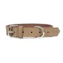 Collier pour Chien Gloria Oasis Blanc (1,5 x 40 cm)