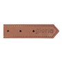 Collier pour Chien Gloria Oasis Marron (40 x 1,5 cm)