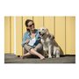 Laisse pour Chien Flexi STYLE 5 m Menthe Taille M