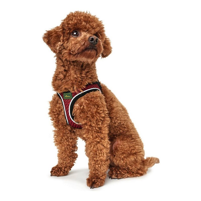 Image secondaire de Harnais pour Chien Hunter Hilo-Comfort XS-S Rouge (37-42 cm)