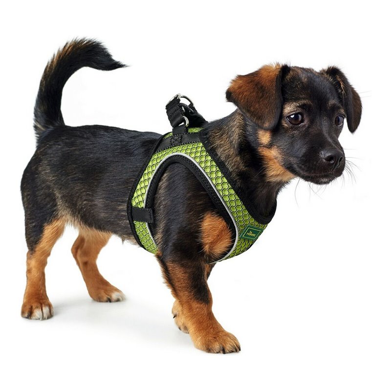 Image secondaire de Harnais pour Chien Hunter Hilo-Comfort XS-S Citron (37-42 cm)