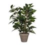 Plante décorative Mica Decorations 40 x 30 cm Céramique Vert PVC Ficus