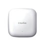 Point d'Accès D-Link DNH-100 Blanc