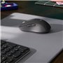 Souris sans-fil Logitech M650 Gris Graphite 4000 dpi