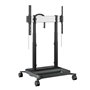 Trolley Videowall Vogel's 7353080 65"