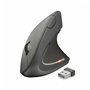 Souris Optique Ergonomique Trust Verto