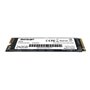 Disque dur Patriot Memory P310 240 GB SSD