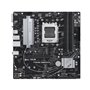 Carte Mère Asus PRIME A620M-A-CSM AMD AMD AM5