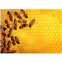 Puzzle 1000 p ruche abeilles