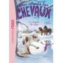 Mes amis les chevaux 25 - La Tempête de neige