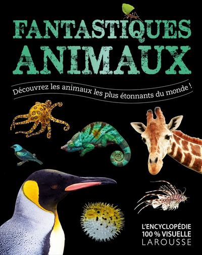 Sciences, Techniques (astronomie, biologie, physique, chimie...)