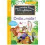 Premières lectures Larousse 100 % syllabiques - Drôle de malle !