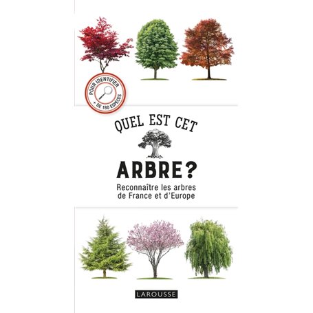 Quel est cet arbre ?