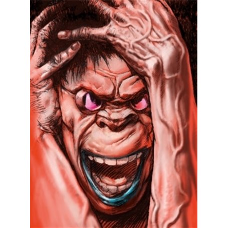 Ranx - Intégrale grand format