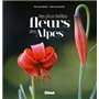 Les plus belles fleurs des Alpes